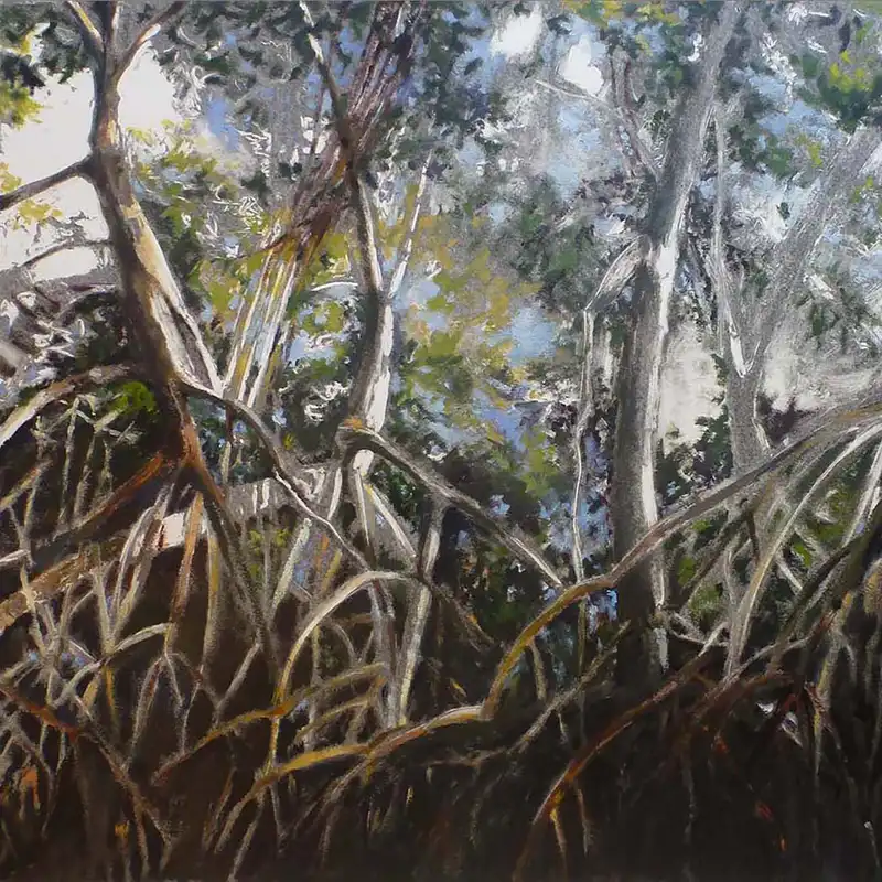 Mangroves